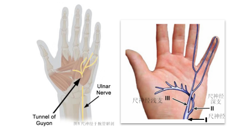 <a href='http://www.cuzhaopin.cn/' target='_blank'><u>徐州仁慈醫(yī)院</u></a>